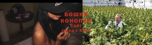 трава Надым