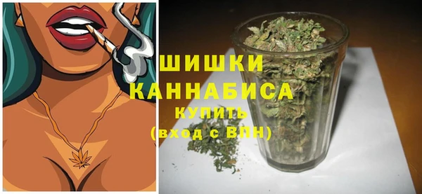 гидра Аркадак