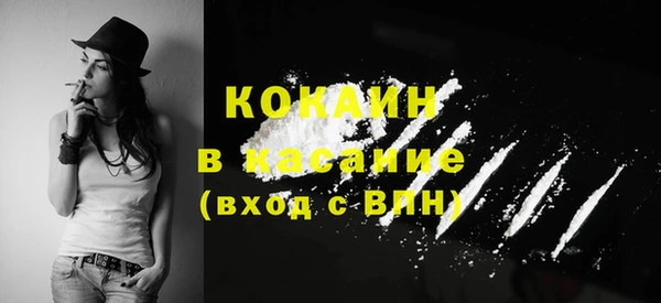 гидра Аркадак