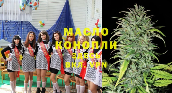 индика Армянск