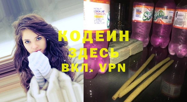 индика Армянск