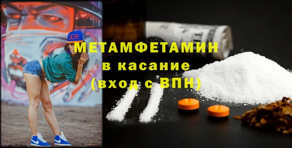 гидра Аркадак
