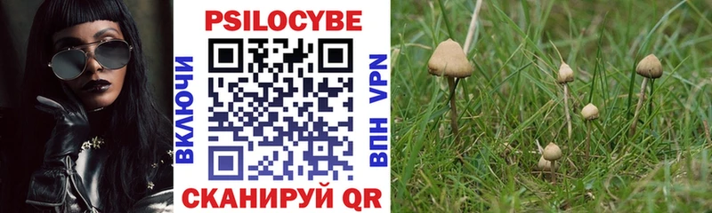 дарк нет состав  продажа наркотиков  Унеча  Галлюциногенные грибы Cubensis 
